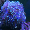 Fish & Coral Paradise gallery