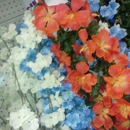 Big Lots - Discount Stores