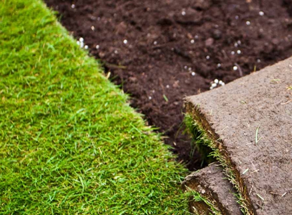 Tanga Landscaping Design & Construction