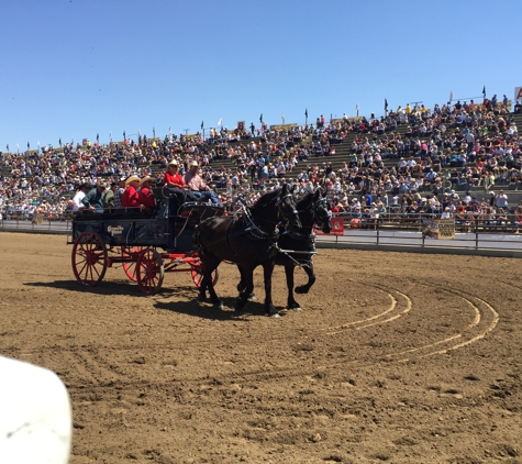 Fresno Carriage - Fresno, CA. Rodeos and Parades