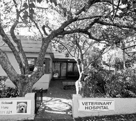 Kiama Veterinary Hospital - Kiama, NSW
