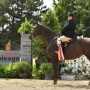 Glen Grove Equestrian Center - Stables