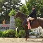 Glen Grove Equestrian Center