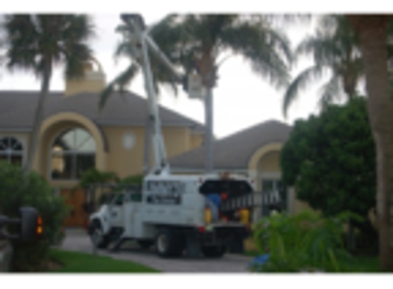 Jimmy's Tree Service - Vero Beach, FL