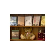 Gallery Image Number 5