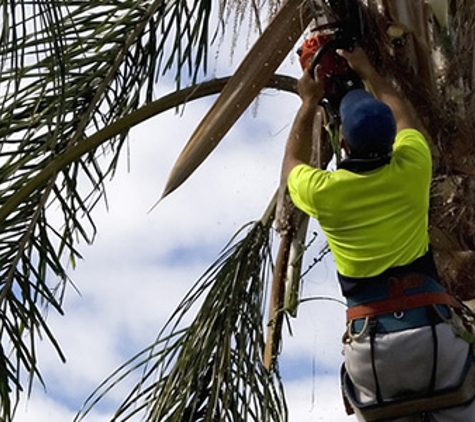 Charley's Tree Service - Rogers, AR