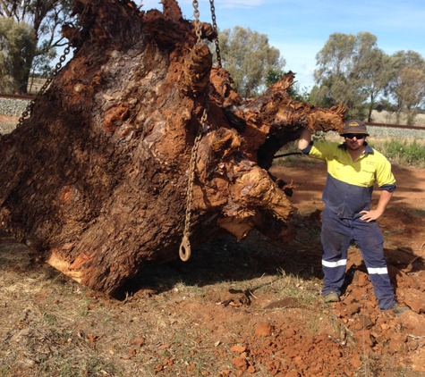Steve McGrath's Tree Service - Parkes, NSW