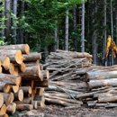 Brooks Tree Service & Forest Products - Arborists