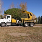 Bowman Tree Moving, Inc.