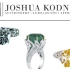 Joshua Kodner gallery