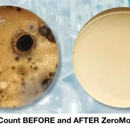 ZeroMold - Mold Remediation