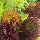 Story City Floral and Garden - Florists