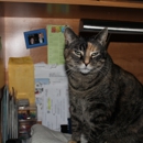 Best Friends Animal Hospital - Veterinary Clinics & Hospitals