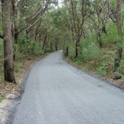 Gallery Image Number 5