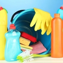 Your Cleaning Lady - Maid & Butler Services
