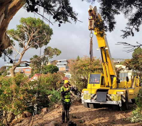 E&T Tree Services And Stump Grinding - Penguin, TAS