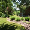 CP's  Lawncare LLC gallery