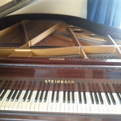 Gallery Image Number 4