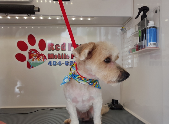 Red Paws Grooming - Marcus Hook, PA