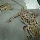 Petland Ft. Myers - General Merchandise