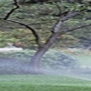 All Dade Sprinklers Inc gallery