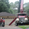 Champions Tree Preservation gallery