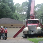 Champions Tree Preservation