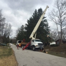 Expert Tree LLC - Tree Service