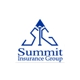 Summit Insurance Group Inc