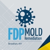 FDP Mold Remediation of Brooklyn gallery