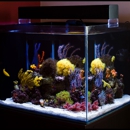 Bill Goody Aquariums - Aquariums & Aquarium Supplies-Leasing & Maintenance