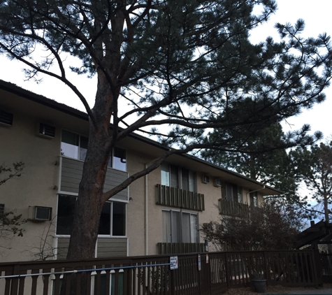 Abe's Tree Service - Colorado Springs, CO. Apartment complex. Trimming away from pool area