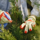 Twins Pest Control - Pest Control Equipment & Supplies