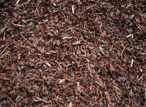Firewood Devils
