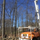 A&S TREE SERVICE,LLC - Tree Service