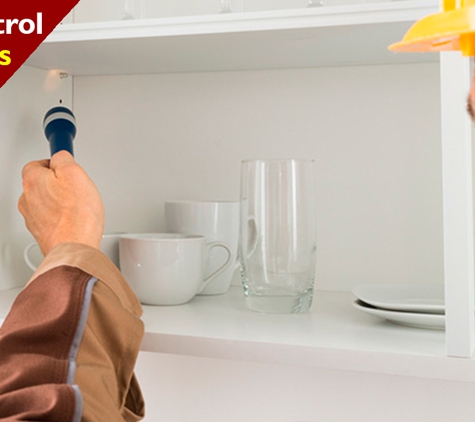 Dr Maks Pest Control - Macgregor, ACT. Pest Control Specialists