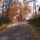 Lake View Lodge - Resorts