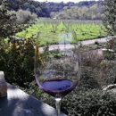 Vino V Wines - Wineries