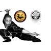 Thundering Lions Kung Fu LLC gallery