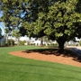 Augusta Landscape & Mulch Distrutors