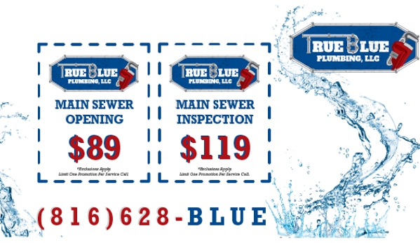 True Blue Plumbing - Kansas City, MO