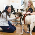 Skyline Veterinary Clinic