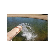 Gallery Image Number 3