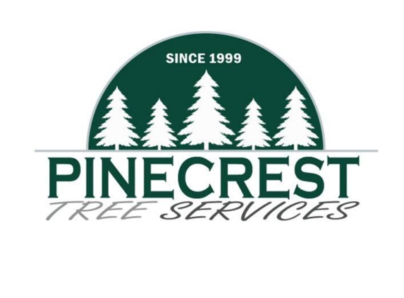 Pine Tree Services - Philadelphia, PA