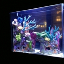 Aquarius Aquariums - Aquariums & Aquarium Supplies