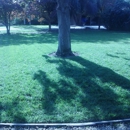 adams pool & yard service - Landscaping & Lawn Services