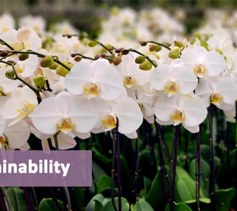 Flora Plant - Oakford, WA. Sustainability