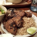 Loya Organic Kebab Cafe - Health Food Restaurants
