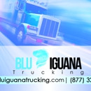 Blu Iguana Trucking - Cargo & Freight Containers
