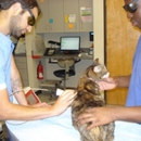 Broadway Veterinary Clinic - Veterinarians